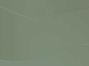 机器学习使用技巧：用迁移学习加速模型训练